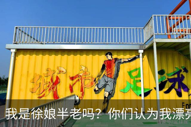 我是徐娘半老吗？你们认为我漂亮吗？
