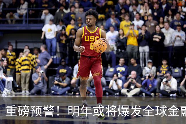 重磅预警！明年或将爆发全球金融危机，威力远超2008年海啸！